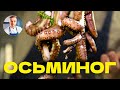 Как приготовить осьминога? Теплый салат с осьминогом