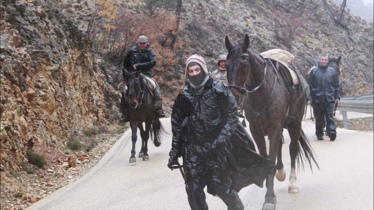 TRASHUMANCIA DE LA GANADERIA DE ALICIA CHICO EN  FOTOS -