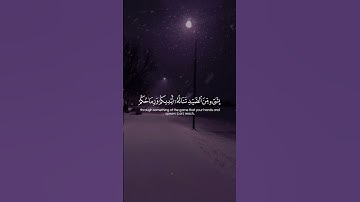 Surah Al-Maidah 094  سورة المائدة #quraniv #quran