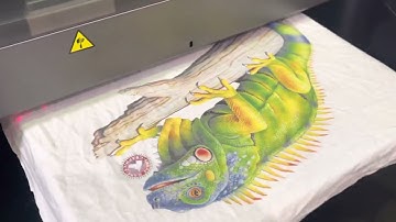 Máy In Trực Tiếp Lên Vải Brother ||  Siêu Thị Ngành May - 0924686777 Mr.Tin