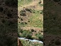 ولسوالی شهدا Badakhshanmusic بدخشانیان افغانستان Afghani2023 Afghanistan Afghani Afghanmusic ولسوالی شهدا Badakhshanmusic بدخشانیان افغانستان Afghani2023 Afghanistan Afghani Afghanmusic
