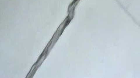 Tate Modern - Dorris Salcedo