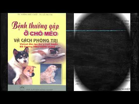 Video: Độc Tính Trên Thận (do Thuốc Gây Ra) ở Chó