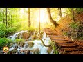 🔴 Relaxing Music 24/7, Healing Music, Meditation Music, Spa Music, Sleep, Zen, Study Music, Yoga