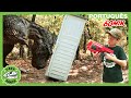 Perseguição de dinossauros T-Rex! | 1 HORA de Parque do T-REX | Série de Dinossauros para Crianças