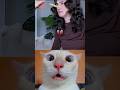 "#cat #funny #quran #nasr",
