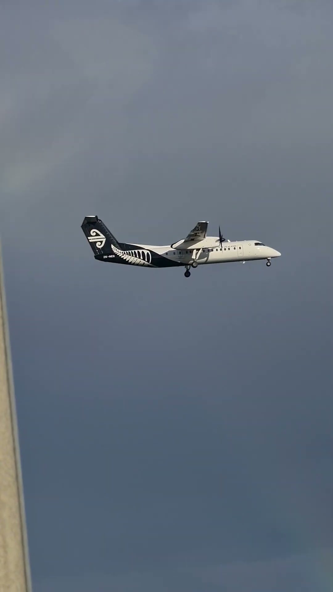 Air New Zealand Q300 Landing Auckland Airport New Zealand #aviation #
