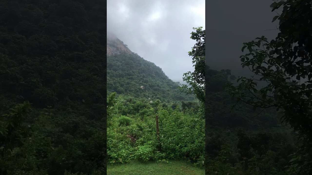 Foot steps of Ayodhya in early morning