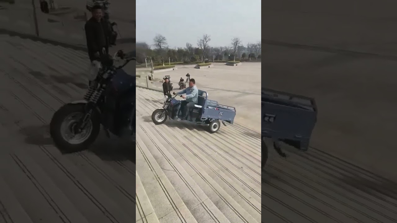 Motorized Driving Type and Cargo 1000W Cover Cargo Tricycle