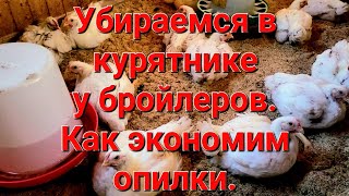 Убираемся в курятнике у бройлеров. Как экономим опилки.