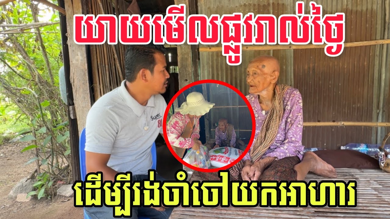 យាយមើលផ្លូវរាល់ថ្ងៃ ដើម្បីរង់ចាំចៅយកអាហារមក