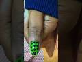 Black dot nail. art#💅💅💅💅💅#youtubeshorts #simplenails #nailartideas #nails #nailarttutorial