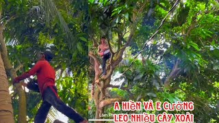 A Hiền và aE Cường leo Cưa những cây xoài sát mé sông lúc trời đang mưa bão 
