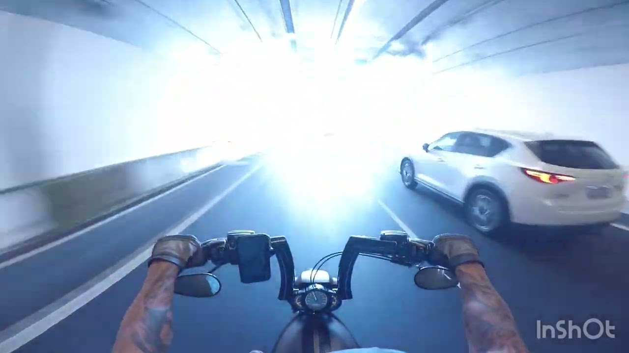 Harley Davidson VROD - Auckland to Warkworth