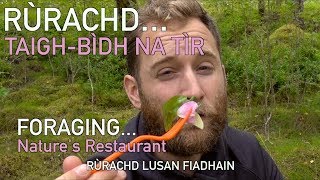 A Rùrachd...taigh-Bìdh Na Tìr Foraging...the Restaurant Of The Land