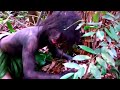 Người Rừng - Tập 28 - Primitive Living In The Forest