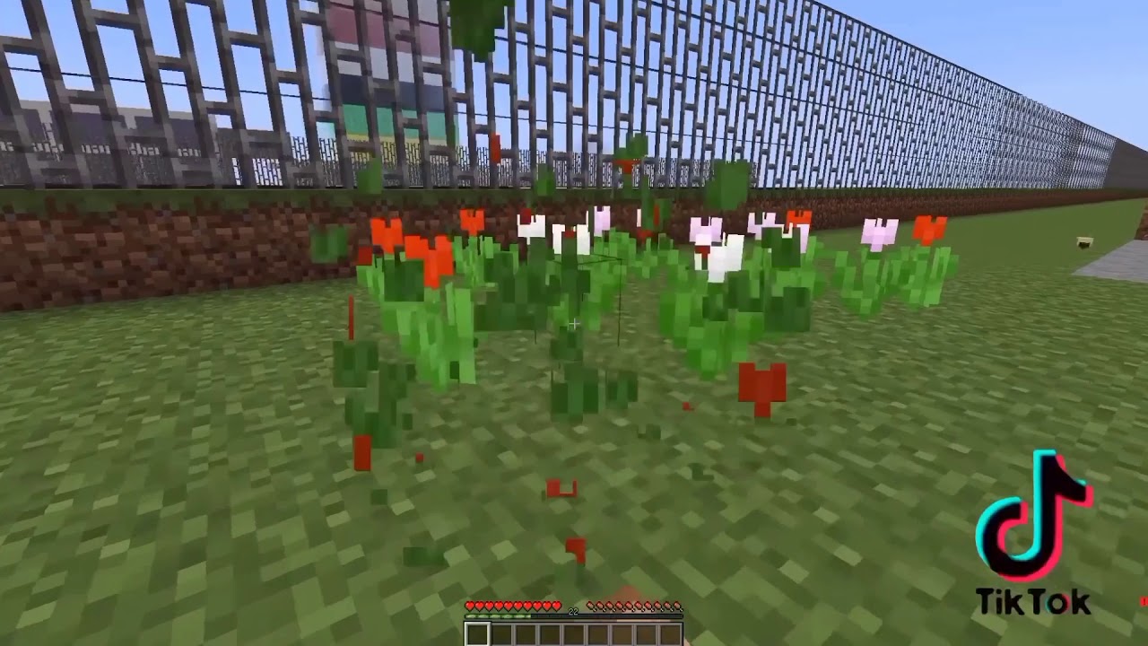 fakir ve zengin tiktok videosu youtube fakir ve zengin tiktok videosu youtube