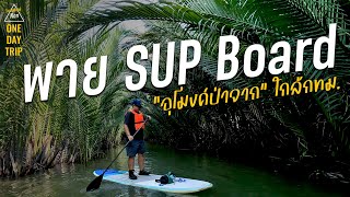 ONE DAY TRIP : พาย SUP Board ครั้งแรก กับ SUP Thailand Trips