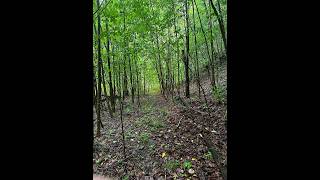 2041 Cat Creek Road video tour
