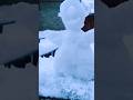 It's Snowing #shorts #reels #snow #snowfall