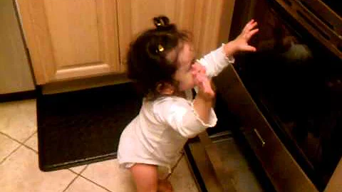 Typical minute in the life of Hanalei!