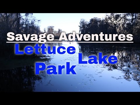 Savage Adventures* Exploring Beautiful Lettuce Lake Park