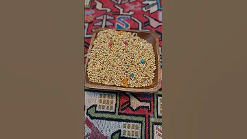Кормите Птиц с этими словами !