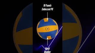 𝐕𝐞𝐜𝐭𝐨𝐫𝐗 Maverick Volleyball.