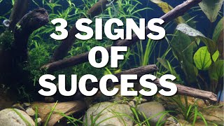 3 Signs Of Success in your Tanks!