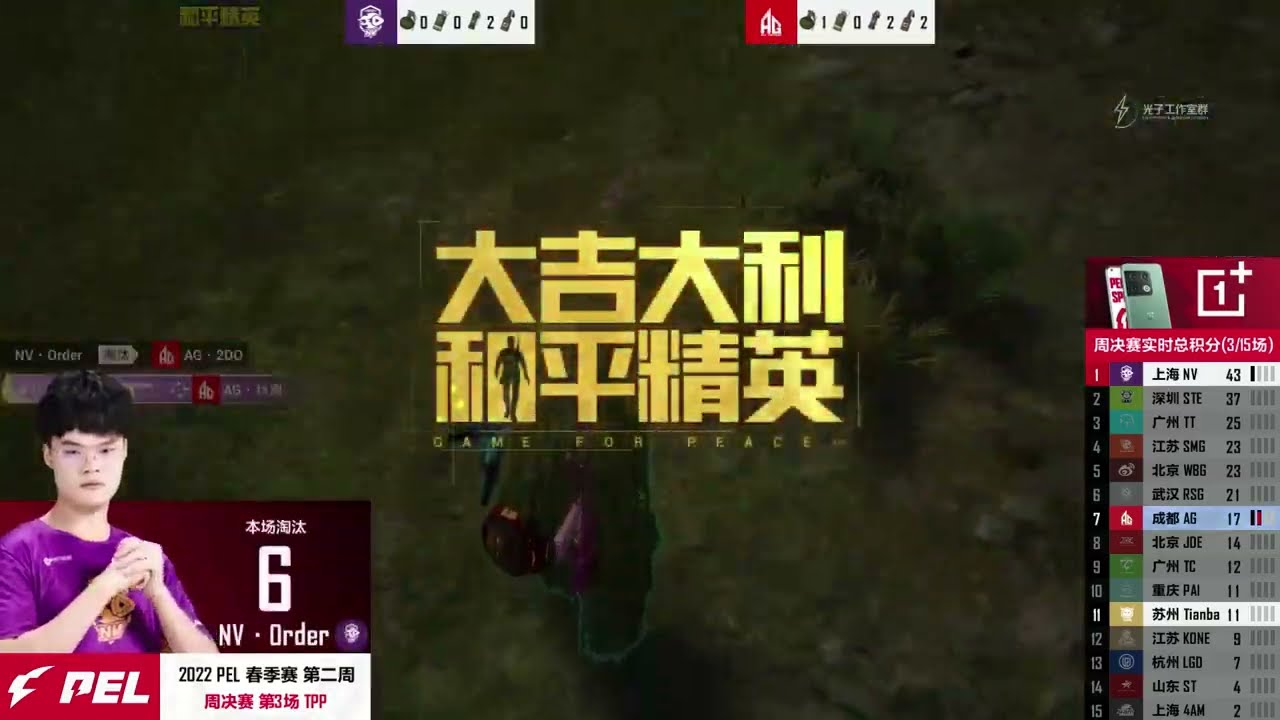 Solo Chicken DInner in PEL 