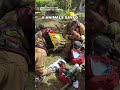 Firefighters revive cats, rescue 6 pets from house fire