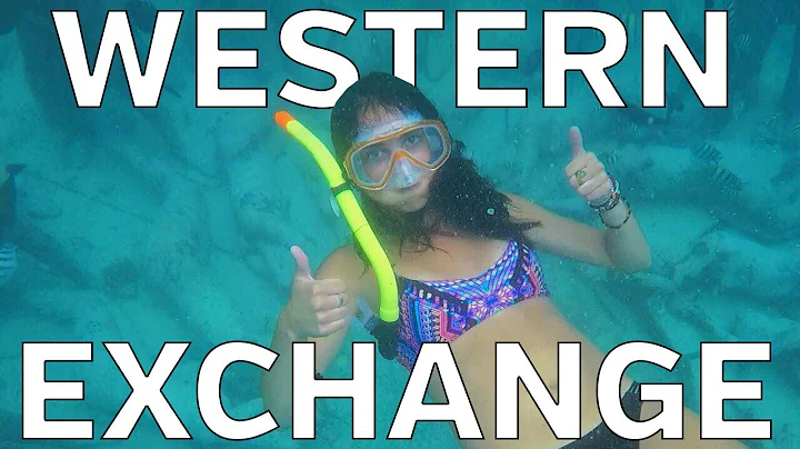 Western TV Goes on Exchange: Singapore Vlog