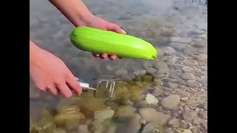 Nạo củ quả đa năng inox 304 cao cấp có thể bào sợi - MIANZ - 0947021553