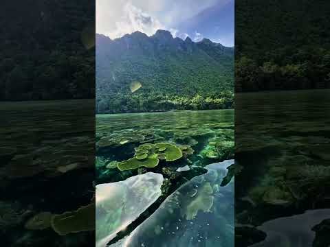Vibesnya Mirip Jurassic Park! Pesona Tebing Hatupia di Saleman, Maluku