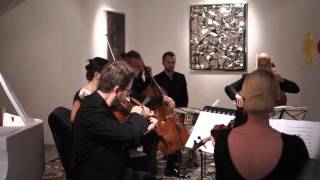 Dana Al Fardan - Riverdance (2016)