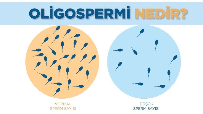 Semiz yalangoch ayollarni tomosha qiling Severobaikalsk porno