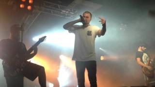 Hacktivist - Elevate. SaintP.