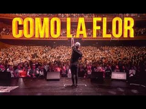 Como La Flor - Ke Personajes    KARAOKE