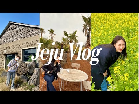 (Jeju_vlog)제주도 2박3일 여행 브이로그 | 제주 감성숙소 추천, 제주도 인스타카페,아르떼뮤지엄,유채꽃밭 | 제주도 일정 추천