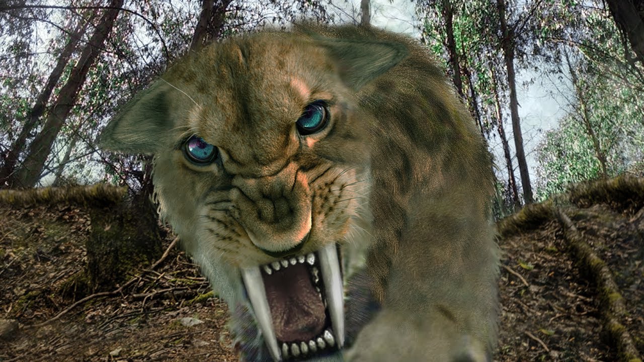 11 Extinct Animals That Might Still Be Around!