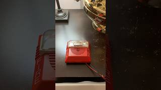 Wheelock NS-24MCW Horn Strobe Test #firealarm #wheelock #shorts