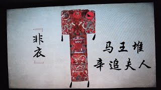 湖南长沙，马王堆汉墓，辛追夫人「非衣」详细解析 #马王堆 #辛追夫人 #非衣 #T性帛画 #湖南省博物院