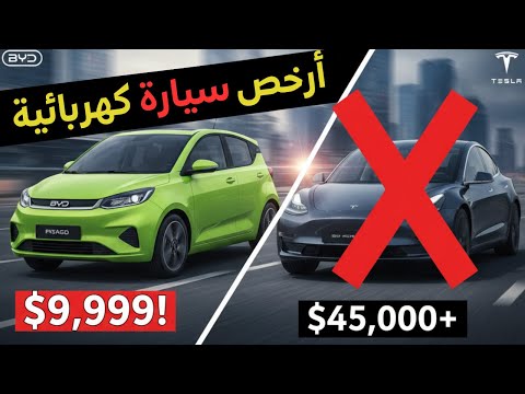 أرخص سيارة كهربائية في العالم    بسعر هاتف ذكي ستدمر صناعة ال 