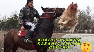 Көк Бет улакты казанга салам дейтко 🤭😂😂😂