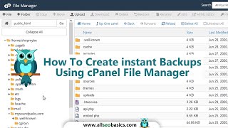 how to create instant backups using cpanel file manager