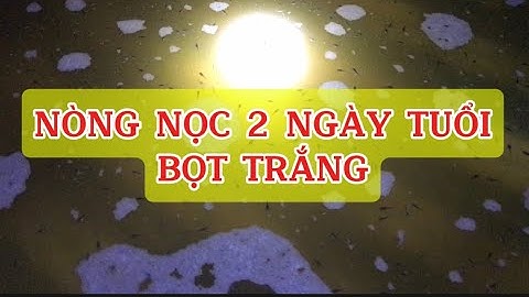 Cách ương nòng nọc ếch, nòng nọc 2 ngày bị bọt trắng | Thuốc ương nòng nọc
