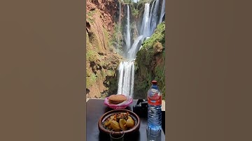 سورة الكوثر بصوت قاسم الشبلي
