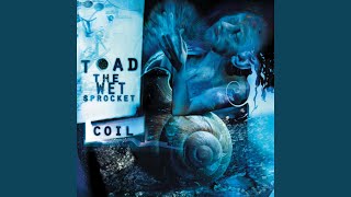 Video thumbnail of "Toad The Wet Sprocket - Don't Fade"