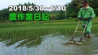 [か831] 2018 農作業日記 5/30～6/10 エコ100 歩行用除草機