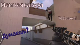 Мемная сакура! | Стендофф 2